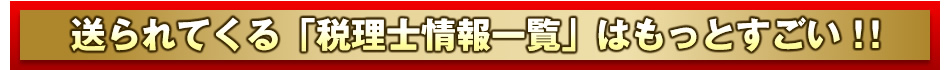 送られてくる「税理士情報一覧」はもっとすごい！！